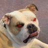 ឵឵឵turky!'s profile picture