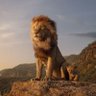 Prasaduu profil fotoğrafı