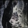 Prophet of light's profile picture