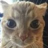 Yati na's profile picture