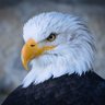 Фото профиля kartal35