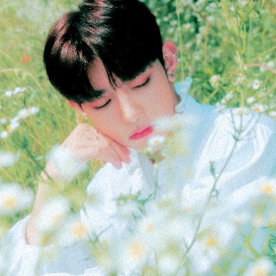 crushonhao's profile picture