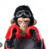 Profilbild von Bujang.palala