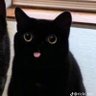 Sk3tch 的头像