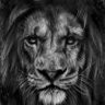 Profilbild von Tori Derrough