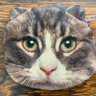 okkはkok's profile picture