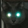 sproutz's profile picture