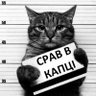 Фото профиля elmeh rage