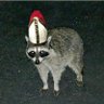 Profilbild von Mapashe