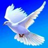 Jude Chimezie's profile picture