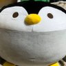得手君 profil fotoğrafı