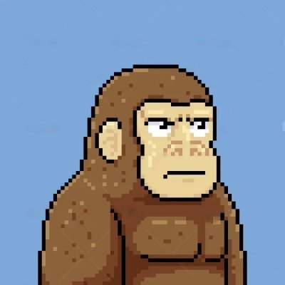 Maximals's profile picture