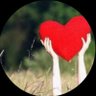 DanyMirandaSampa's profile picture