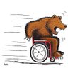 Crazylegsbear profil fotoğrafı