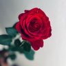 Фото профиля Anna.