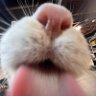 Profilbild von Juan