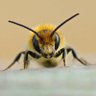 Profilbild von The Fact Buzz