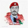 pazir ghorzang's profile picture