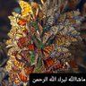 Profilbild von صامت
