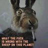 peakey Blinders's profile picture