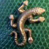 Profilbild von Aldo le Gecko