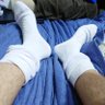 81socks's profile picture