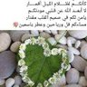 mwm's profile picture