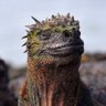 jimmyhenry's profile picture