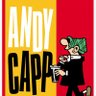 Andy Capp ็ๅคดๅ