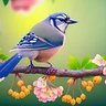 Hong Shi profil fotoğrafı