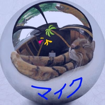 magokoropapa's profile picture