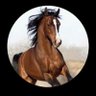 Profilbild von شُـُـُُـُمـْـْْـْوُځـٌٌـٌٌ