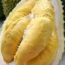 Ade 的头像
