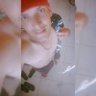 Renan Borges's profile picture