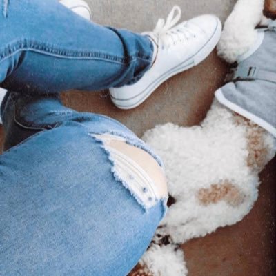 Acire Oz's profile picture