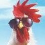 Profilbild von Rooster07