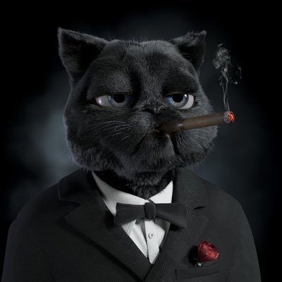 h0t_bull's profile picture