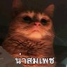 Profilbild von SK