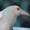 Фото профиля KaRaSu0