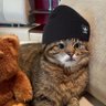 Profilbild von OPC Plombier