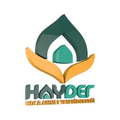 HAYDER's profile picture