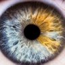 AndamosEnTODOHN profil fotoğrafı