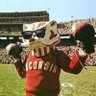 Wisco Fan Dan's profile picture