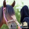 Profilbild von @almah55💕المهاااا