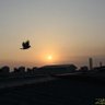 Фото профиля Lonely Flying