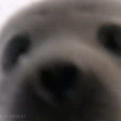 nikami_ss's profile picture