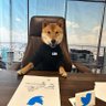 markko profil fotoğrafı