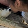 dawn 🌱🥕 🐰 Ⓥ profil fotoğrafı