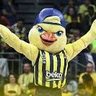 FenerinBeşYıldızı's profile picture