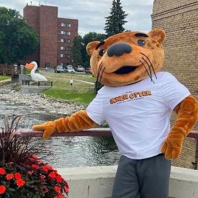 Otter Tail Country's profile picture